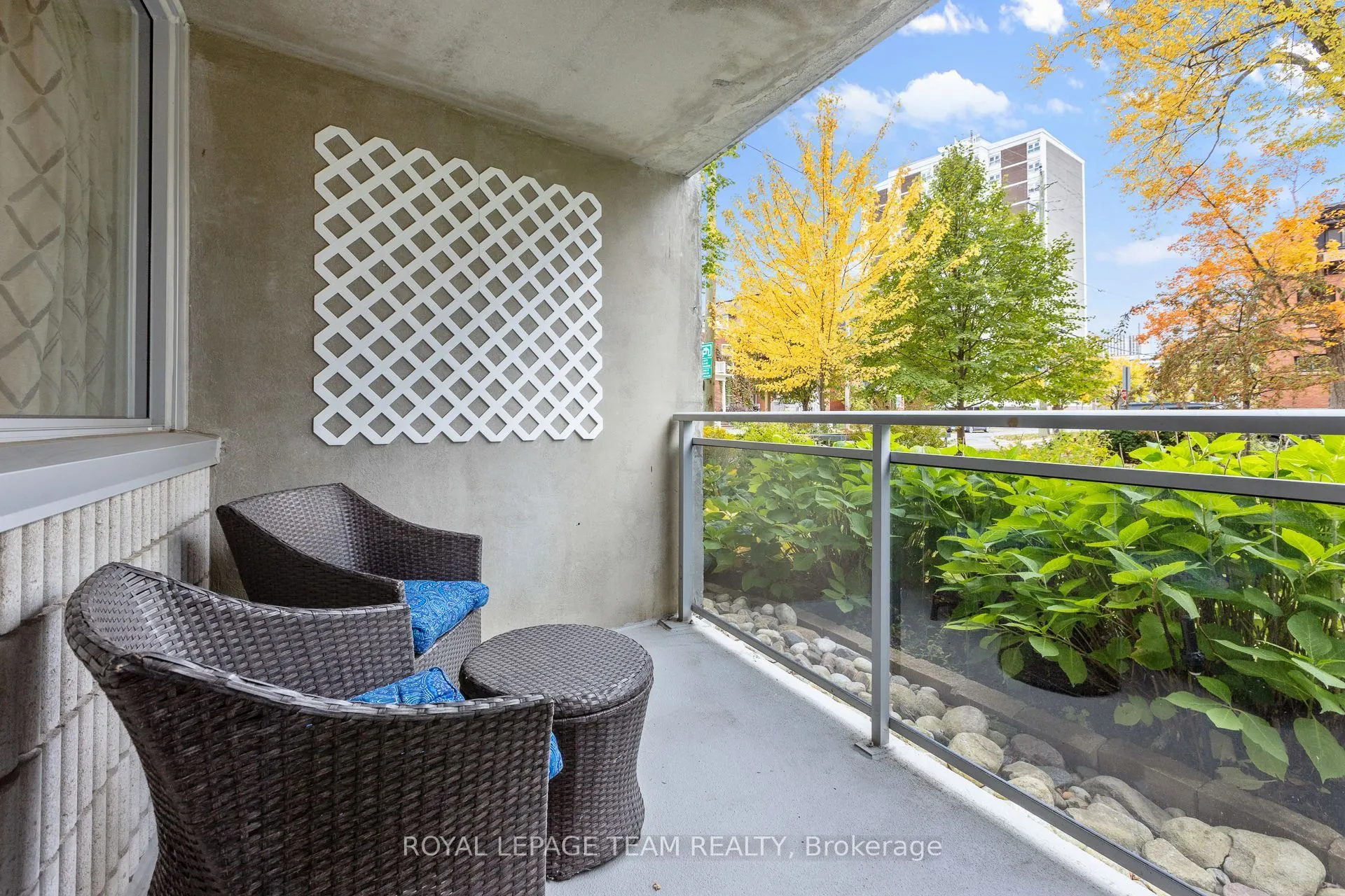 60 McLeod Street #103