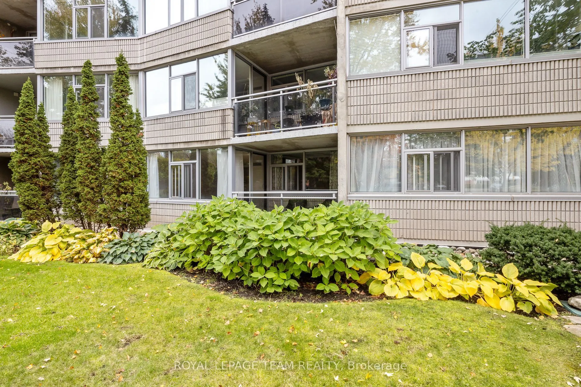 60 McLeod Street #103