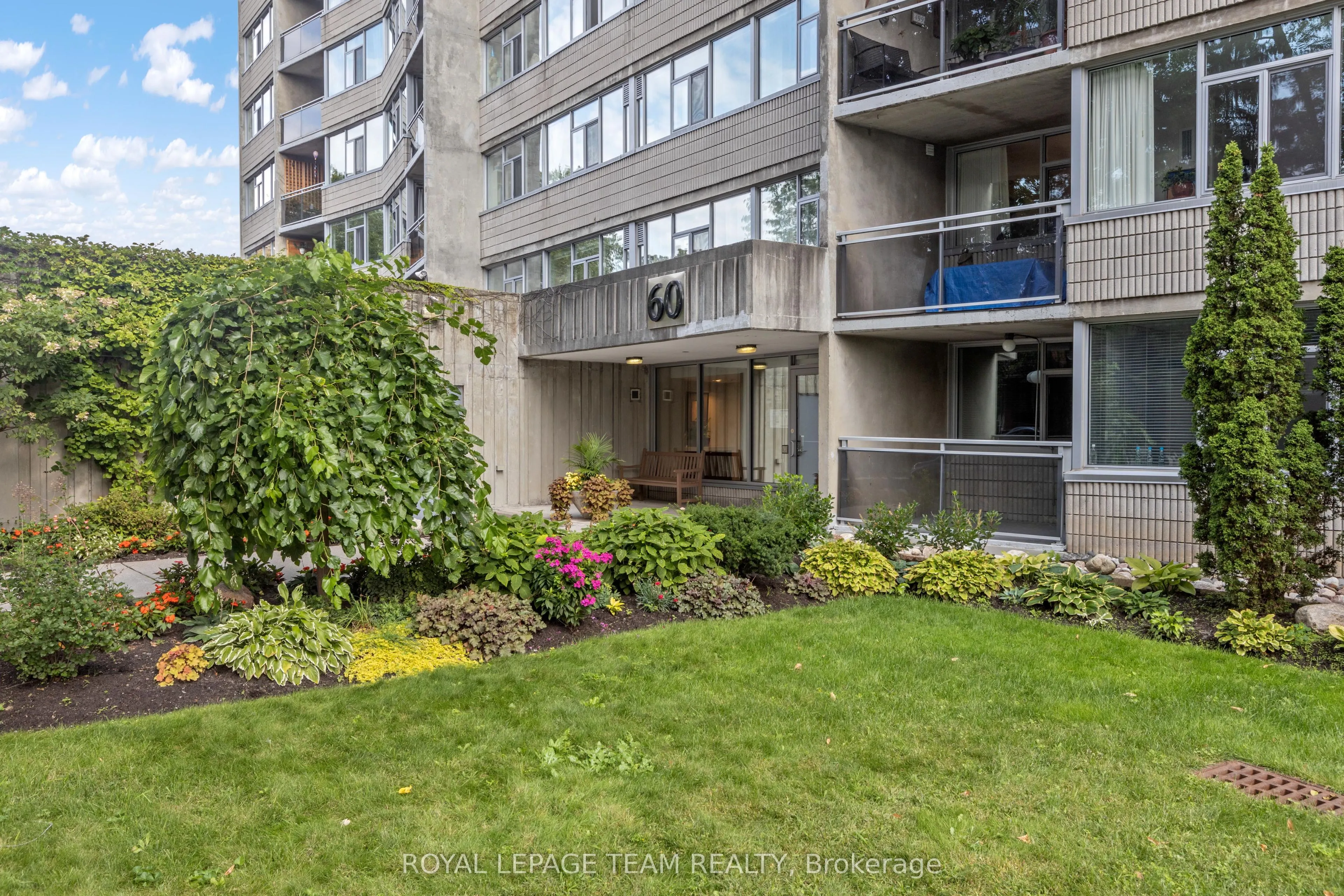 60 McLeod Street #103