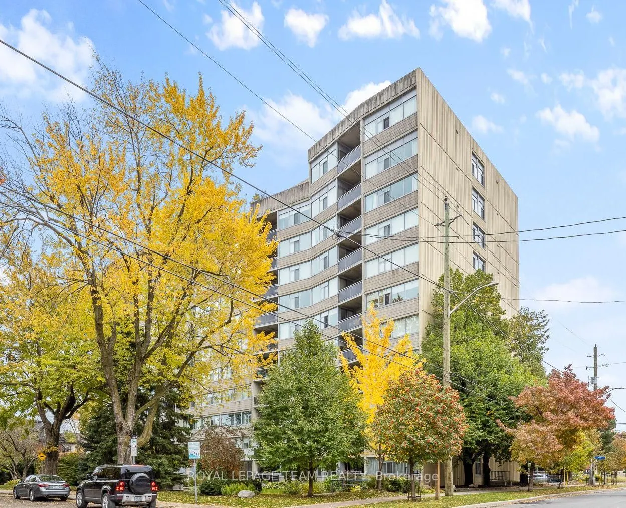 60 McLeod Street #103