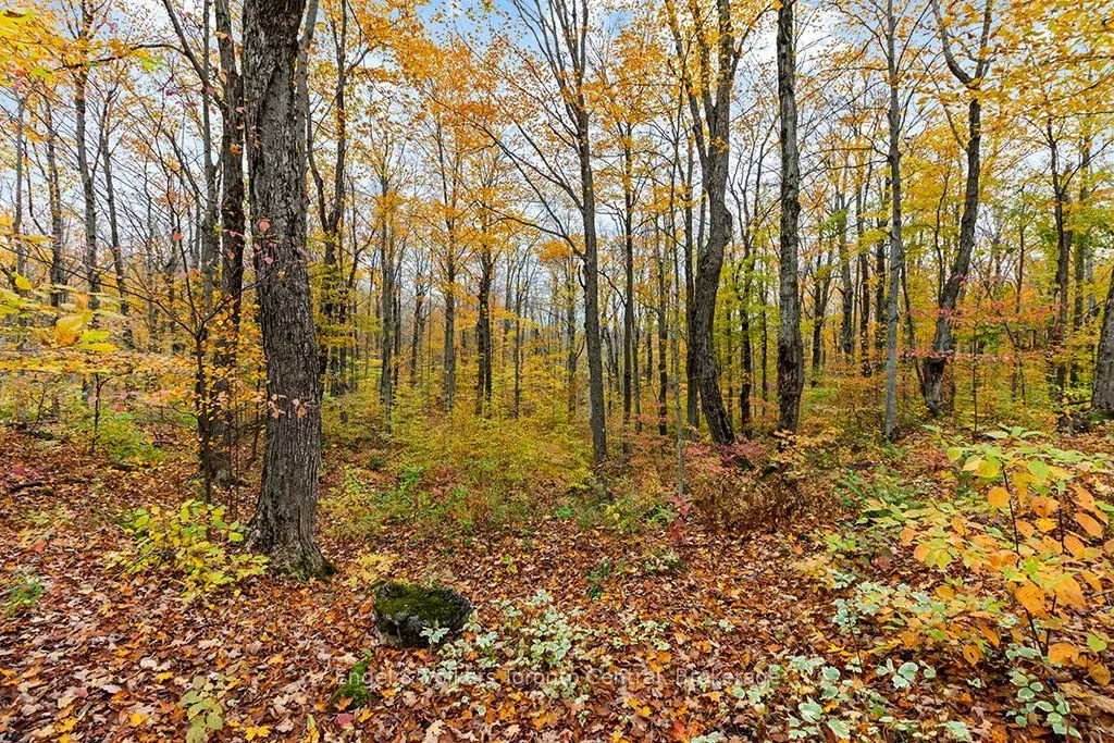 569263 Sideroad 6 Road