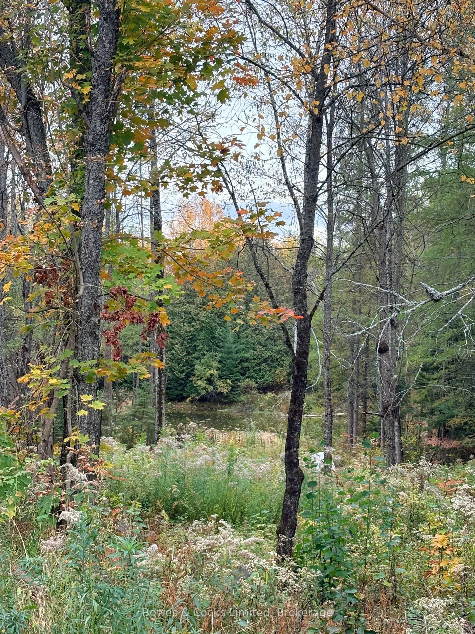 1350 Madill Road