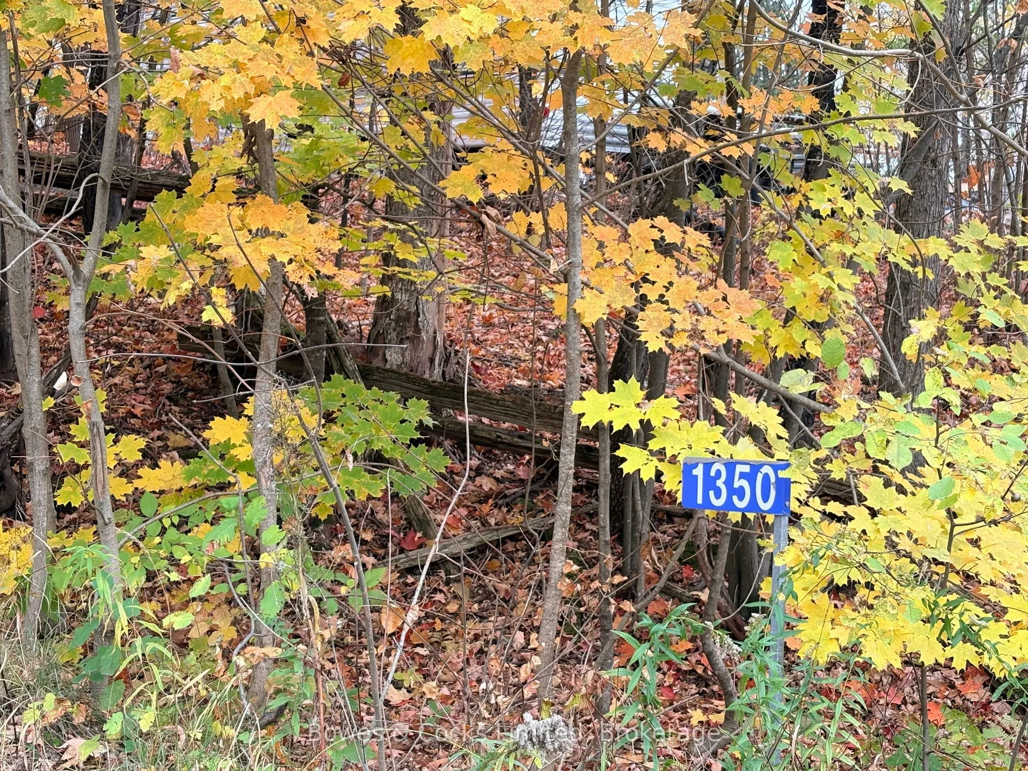 1350 Madill Road
