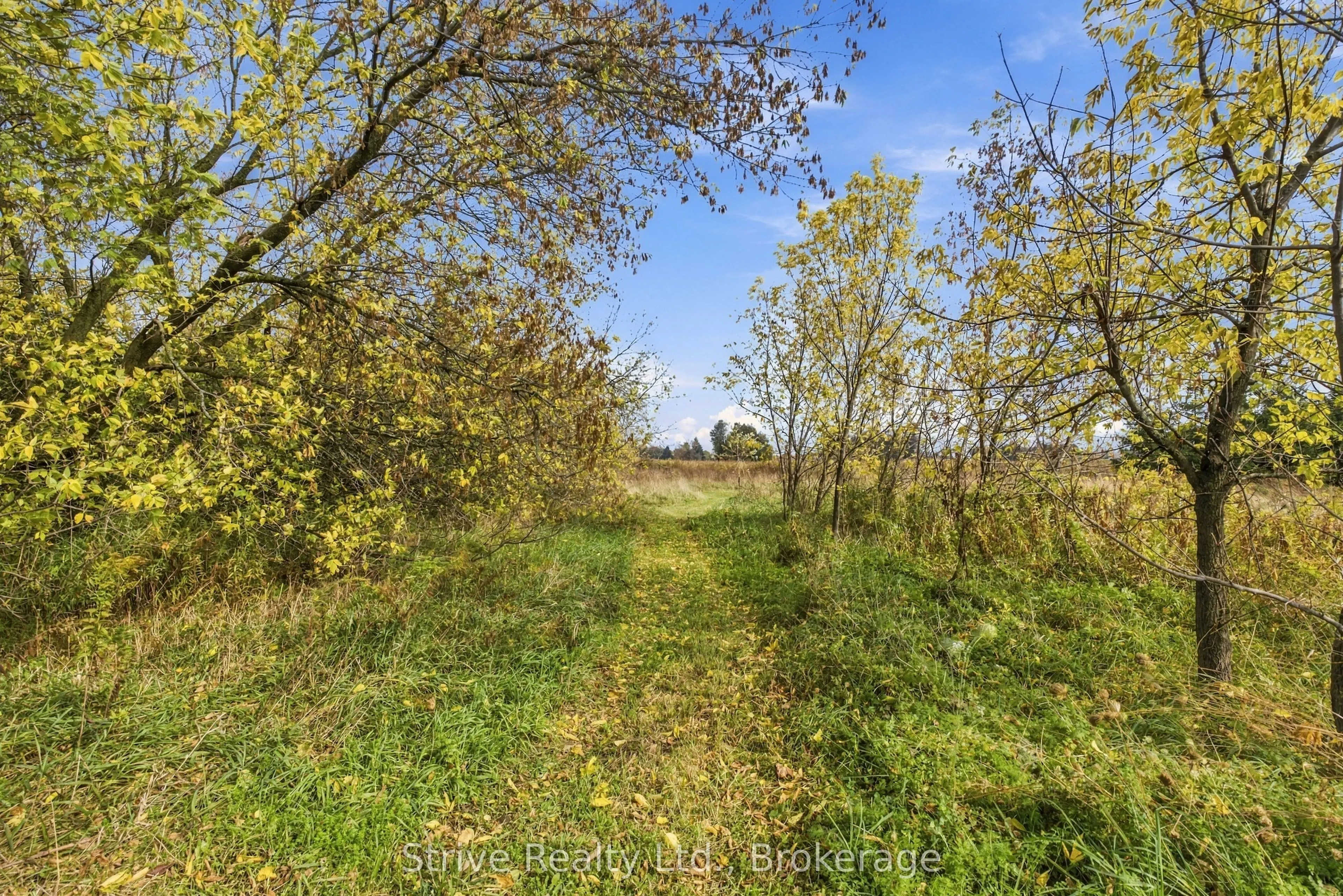 239 Fallis Line