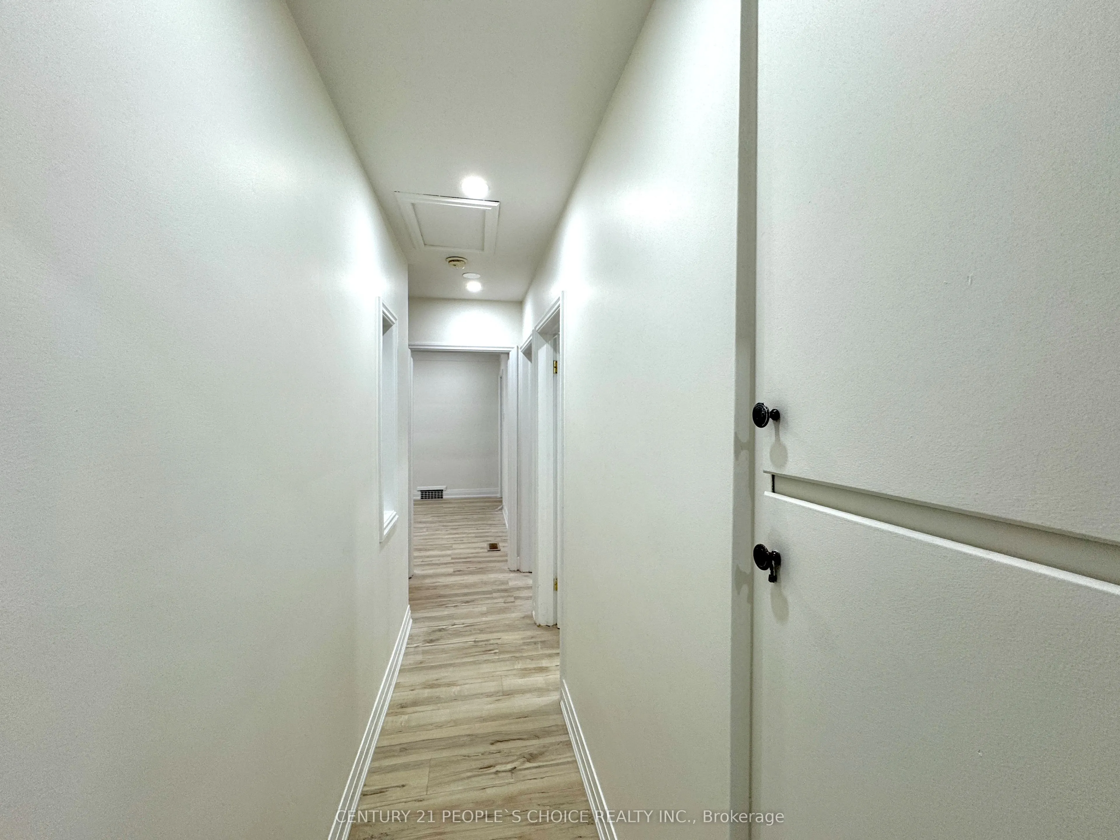 50 Jackson Avenue #Basement