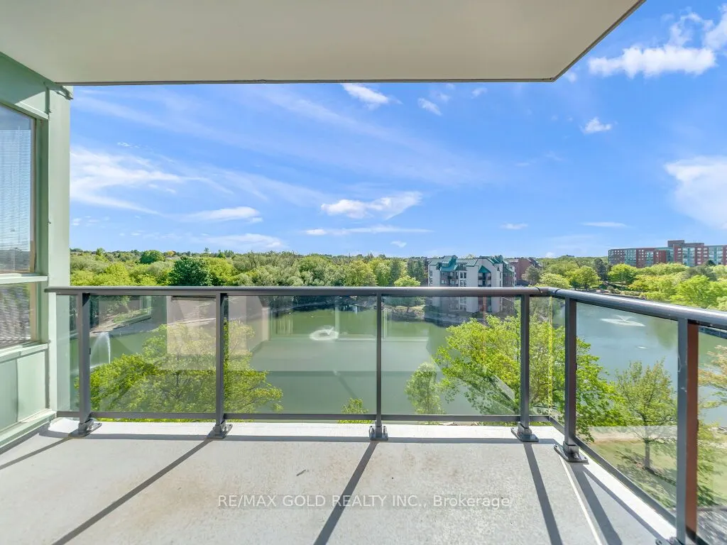 30 Blue Springs Drive #611