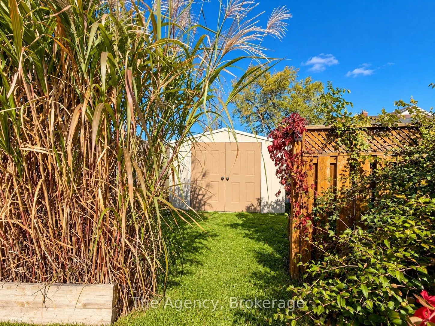 344 Phipps Street