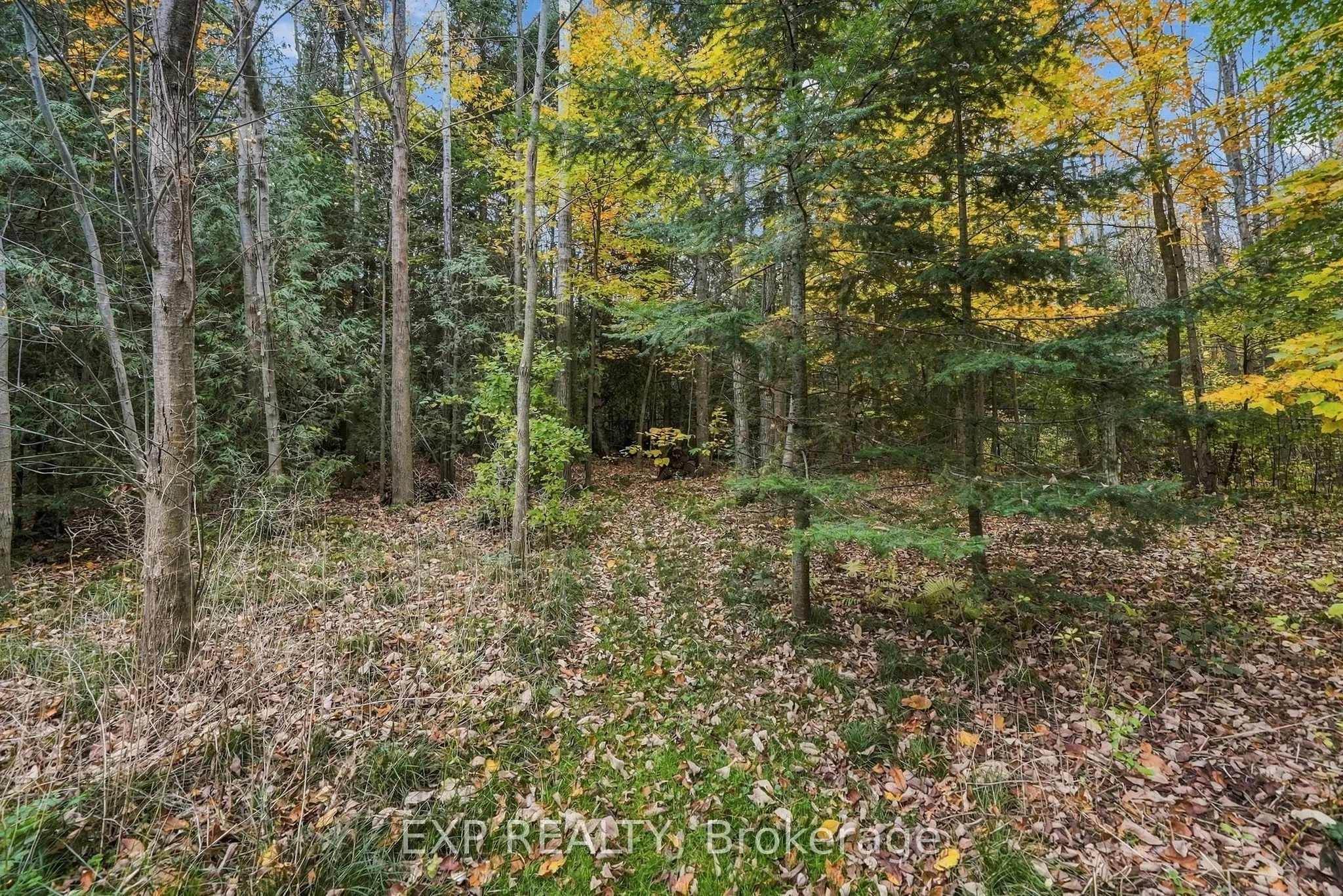 49 Blue Heron Drive