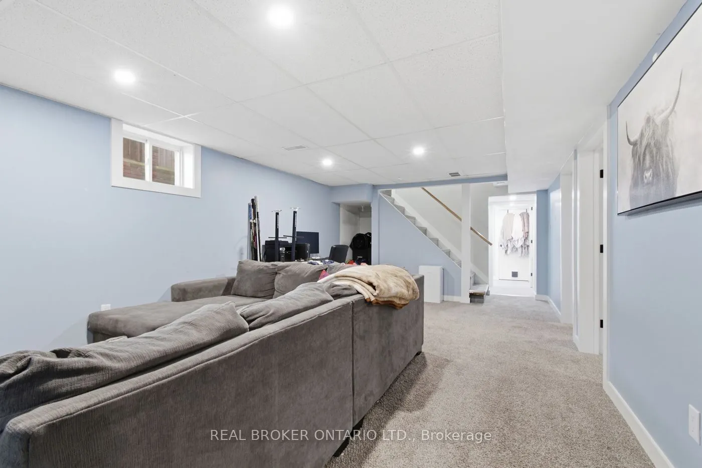 447 David Street