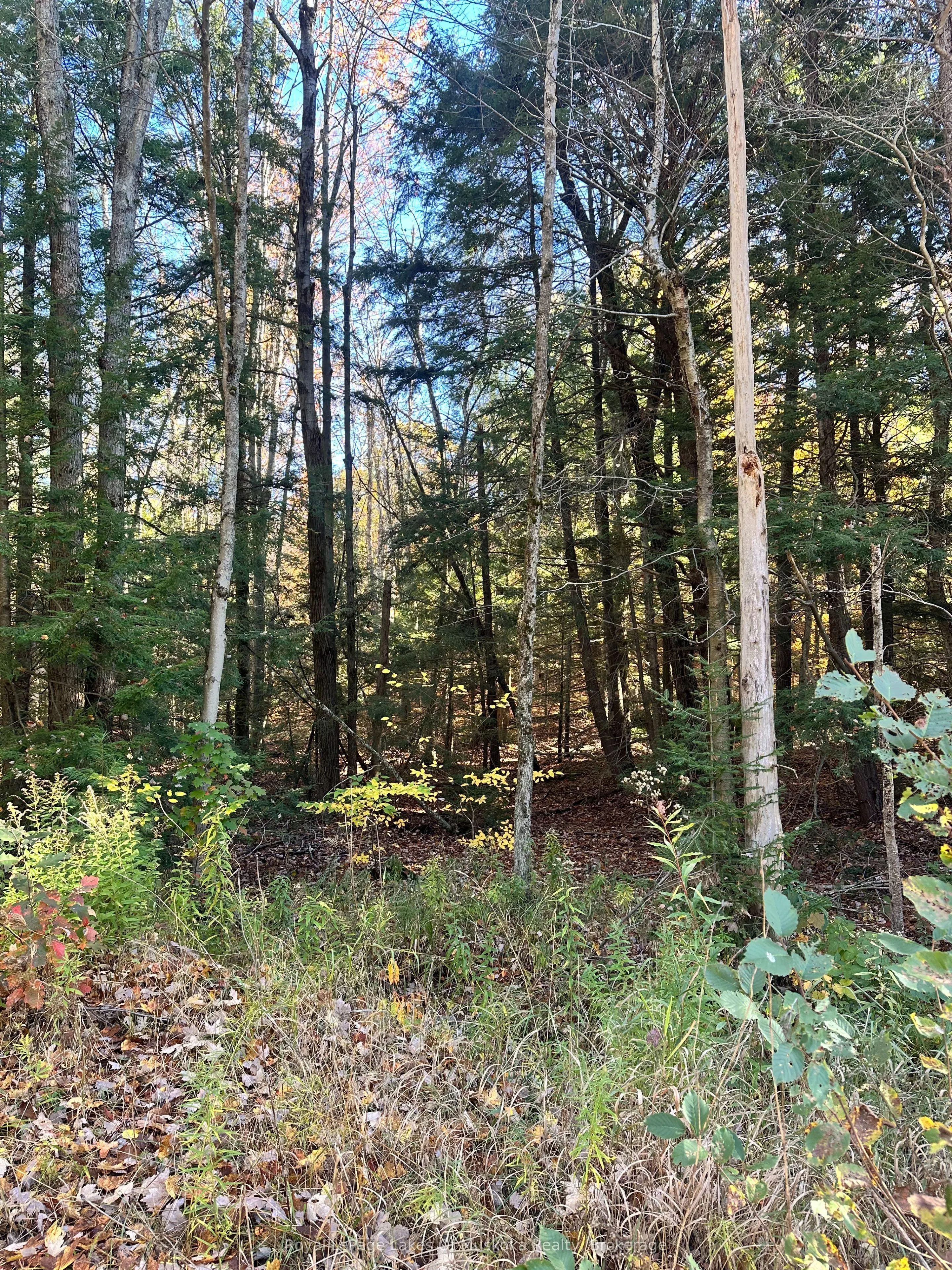 1101 Doe Lake Road