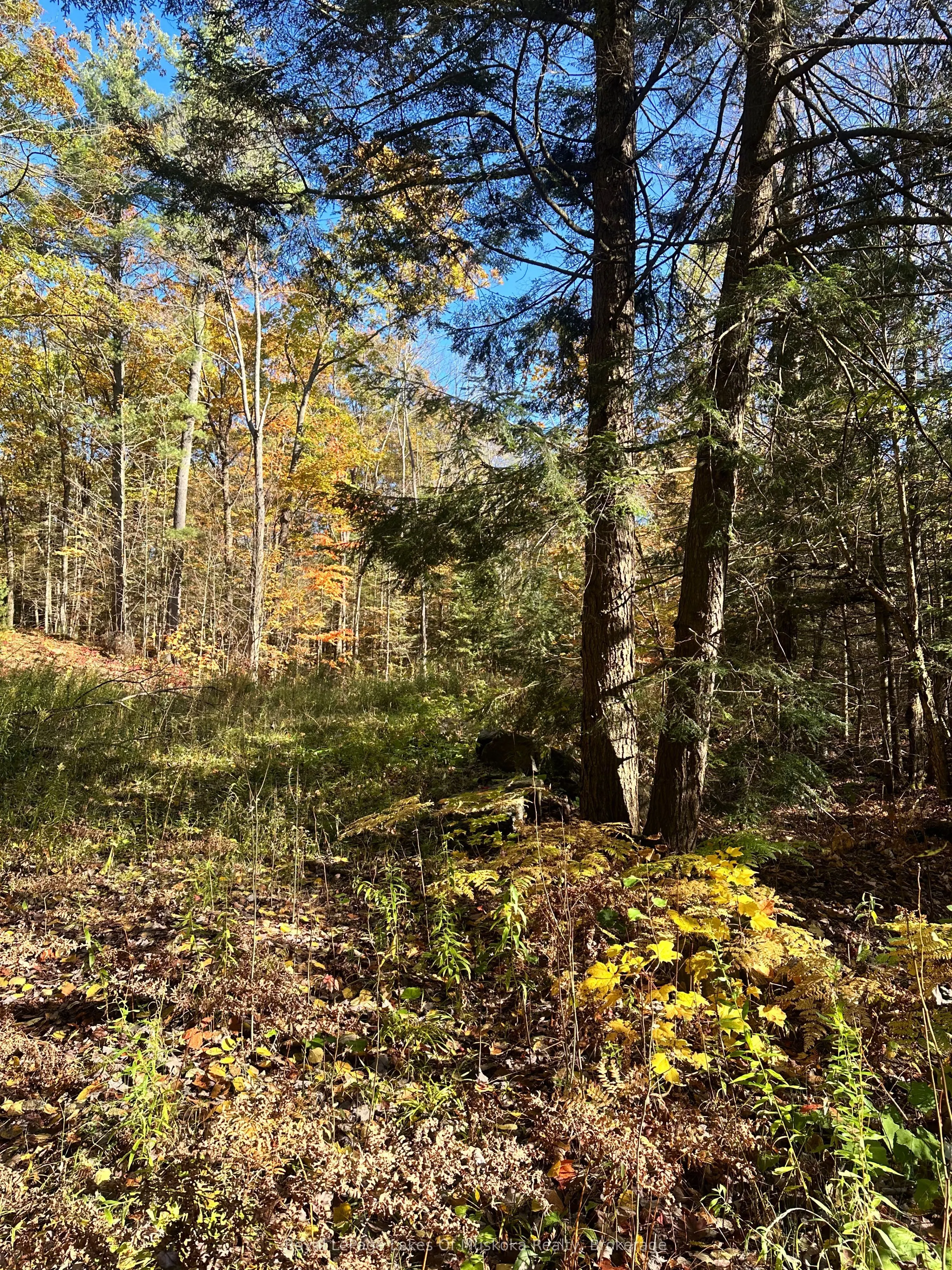 1101 Doe Lake Road