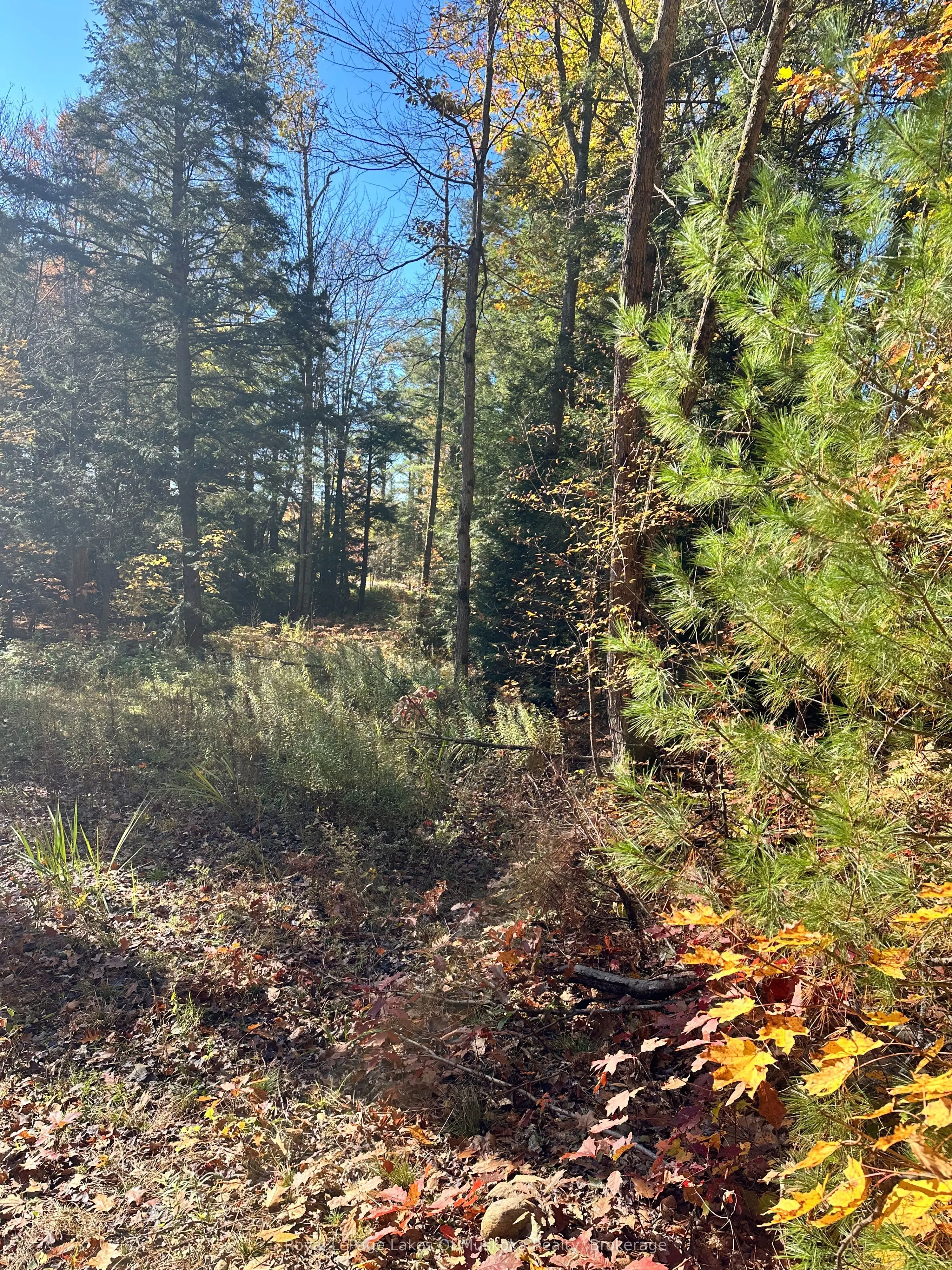 1101 Doe Lake Road