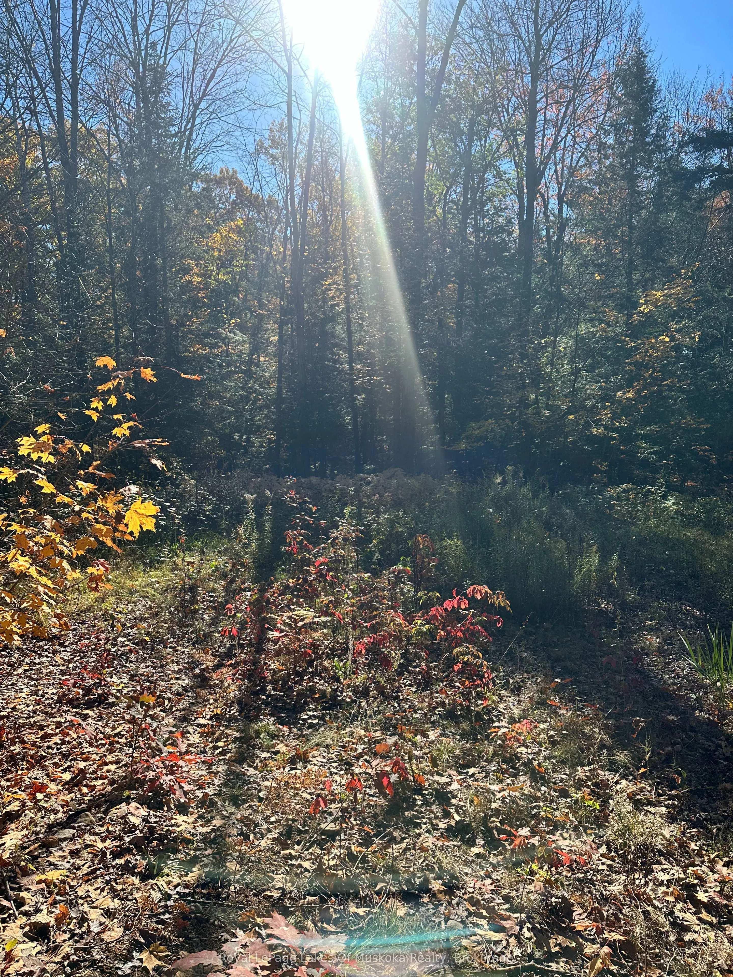1101 Doe Lake Road