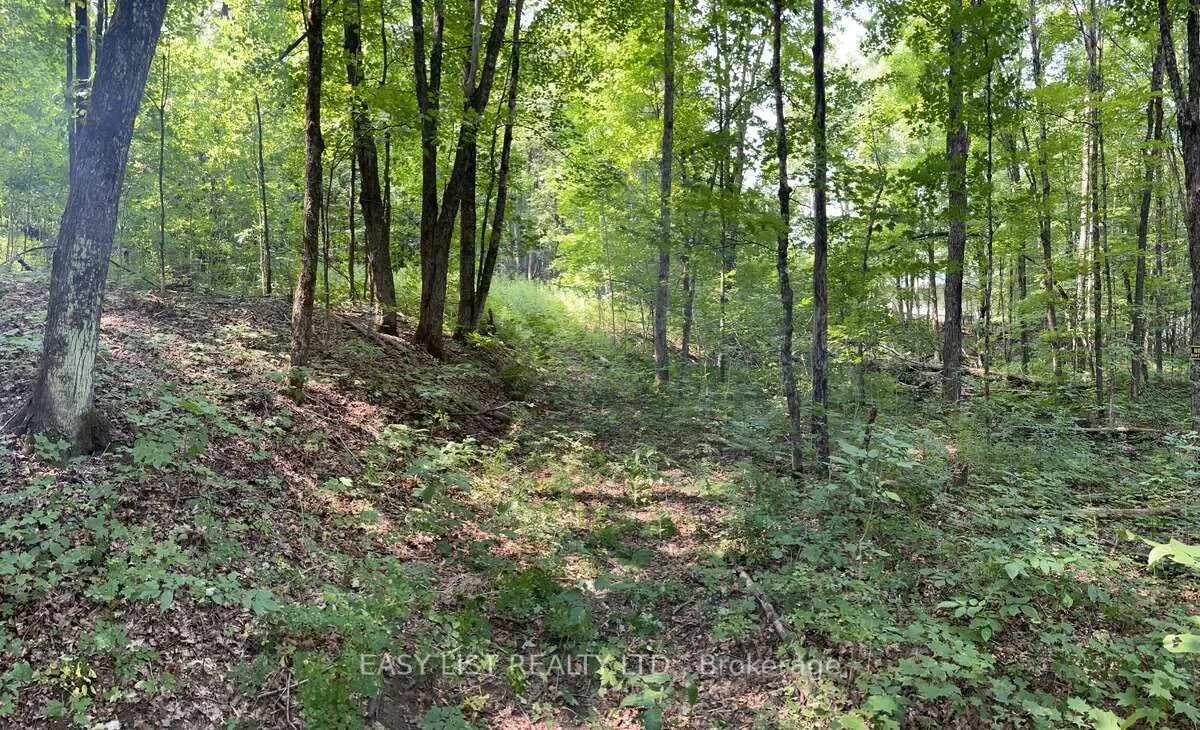 Lot 1 Colonial Road