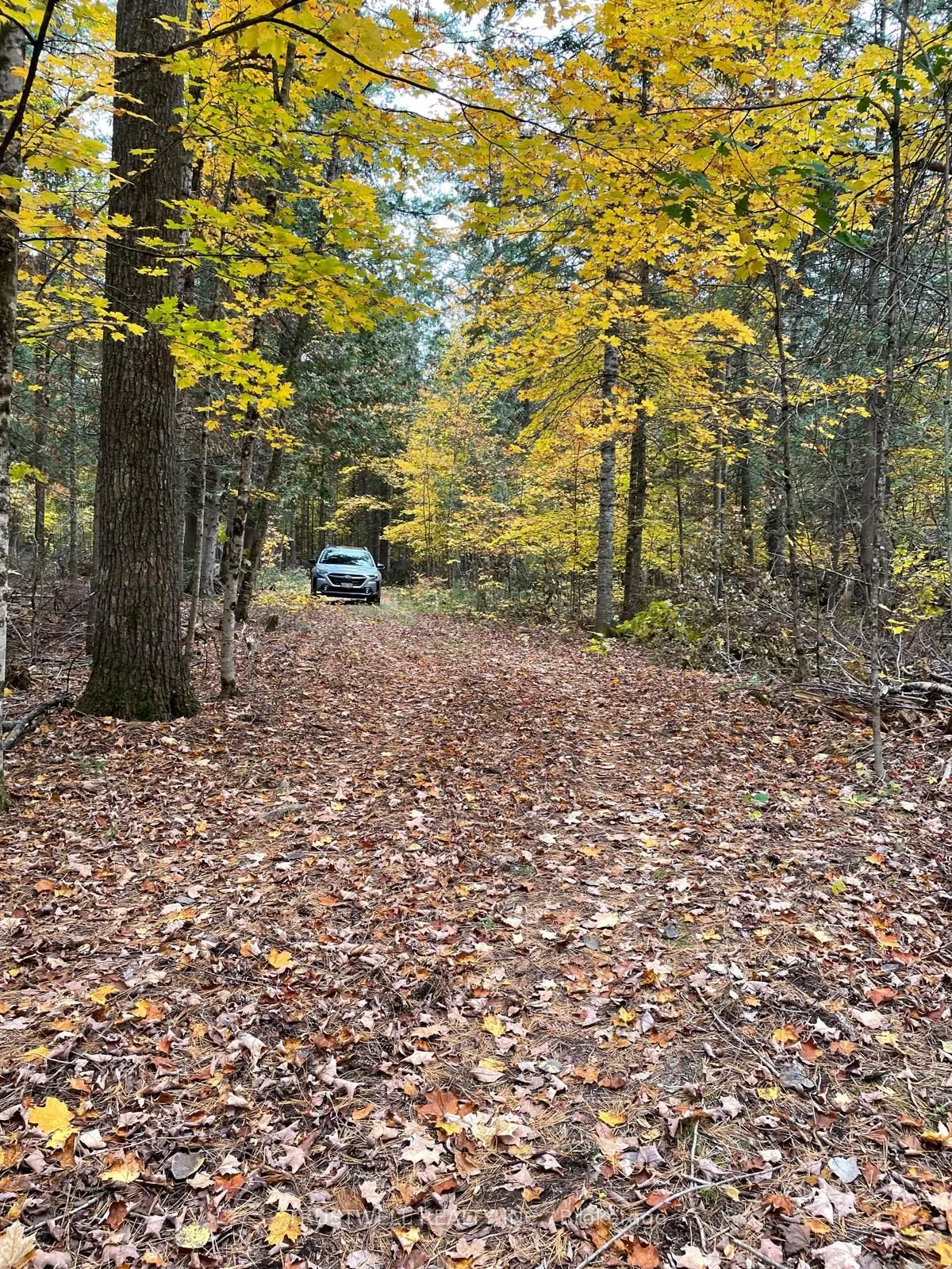 0 Little Silver Lake Road