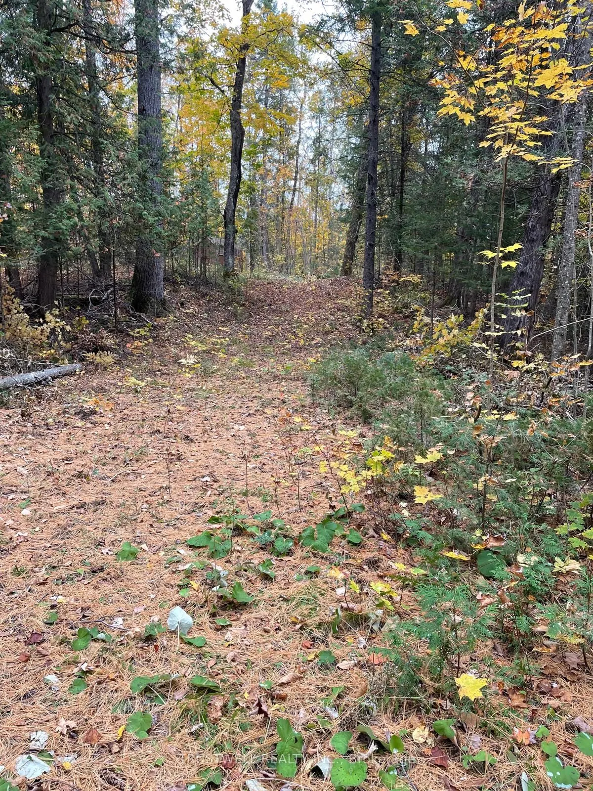 0 Little Silver Lake Road