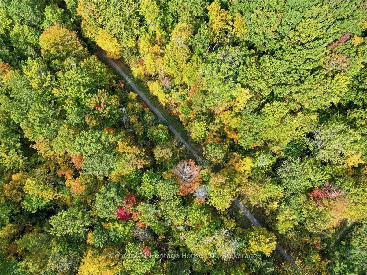 Part Lot 19, Concession 1 Station Road