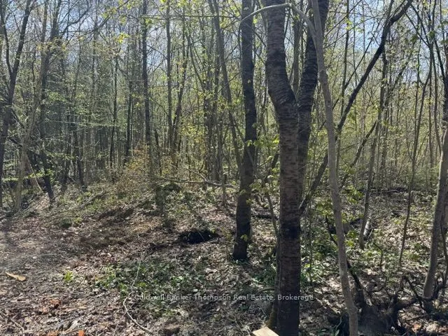 68 Mag View Drive