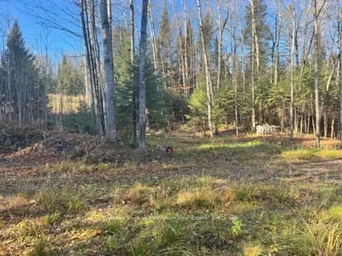 68 Mag View Drive