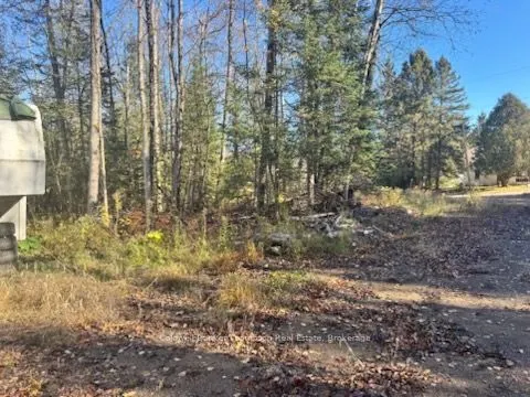 68 Mag View Drive
