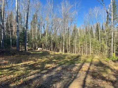 68 Mag View Drive