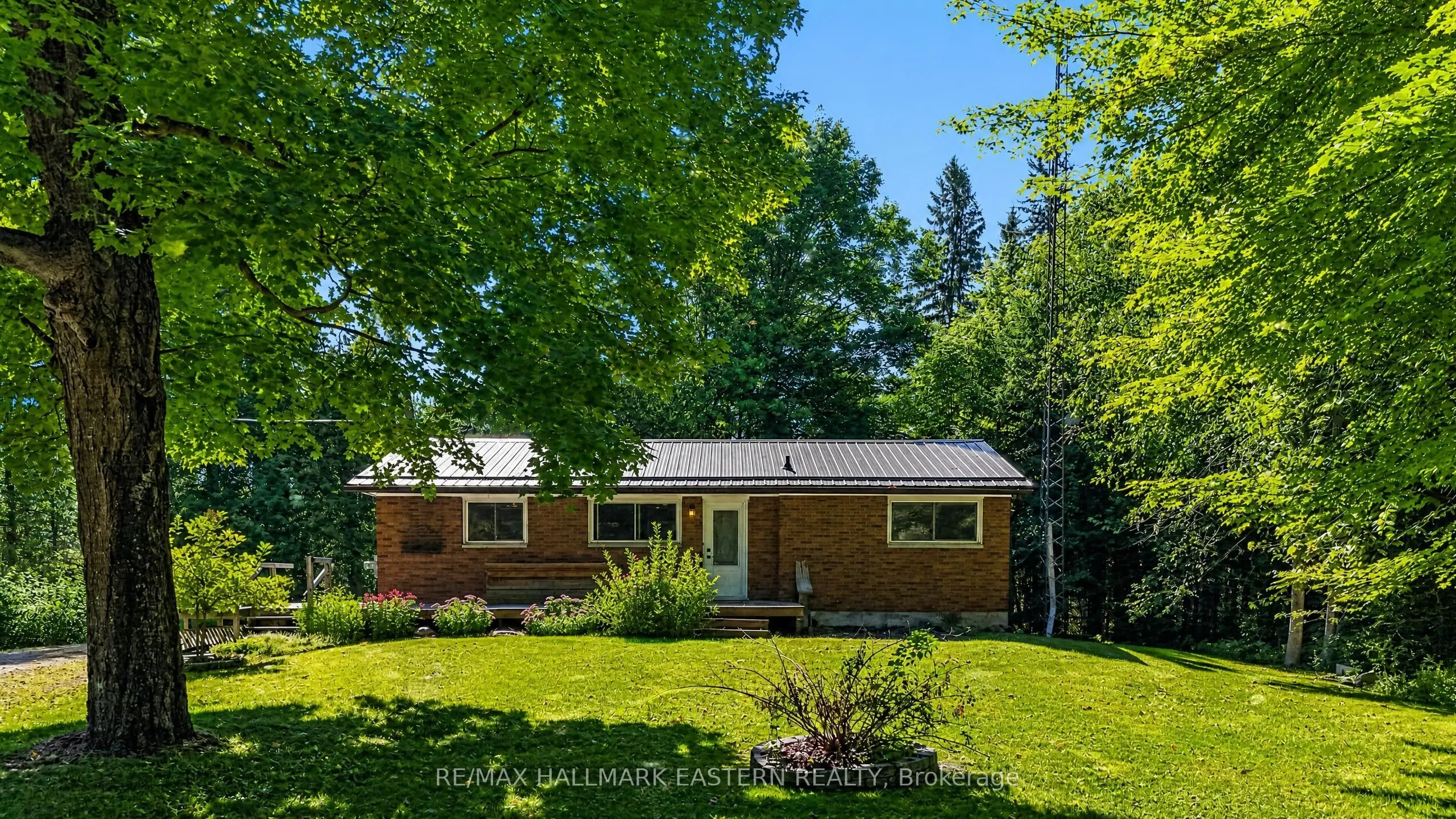 3743 Dummer Asphodel Road