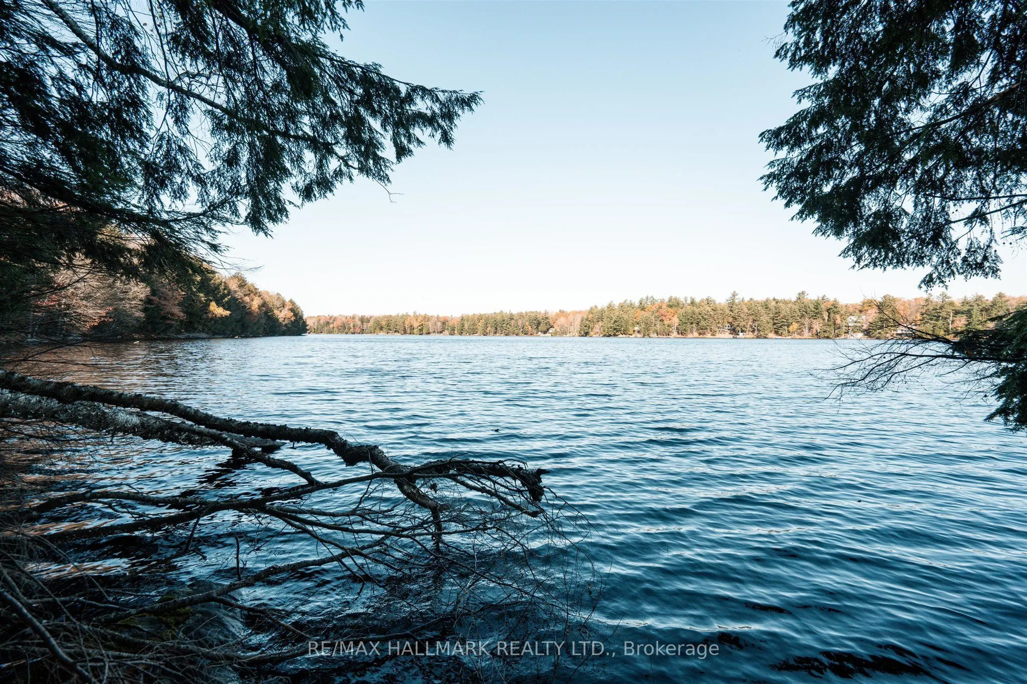 1310 Camel Lake Road #Unit 11 Lot 5