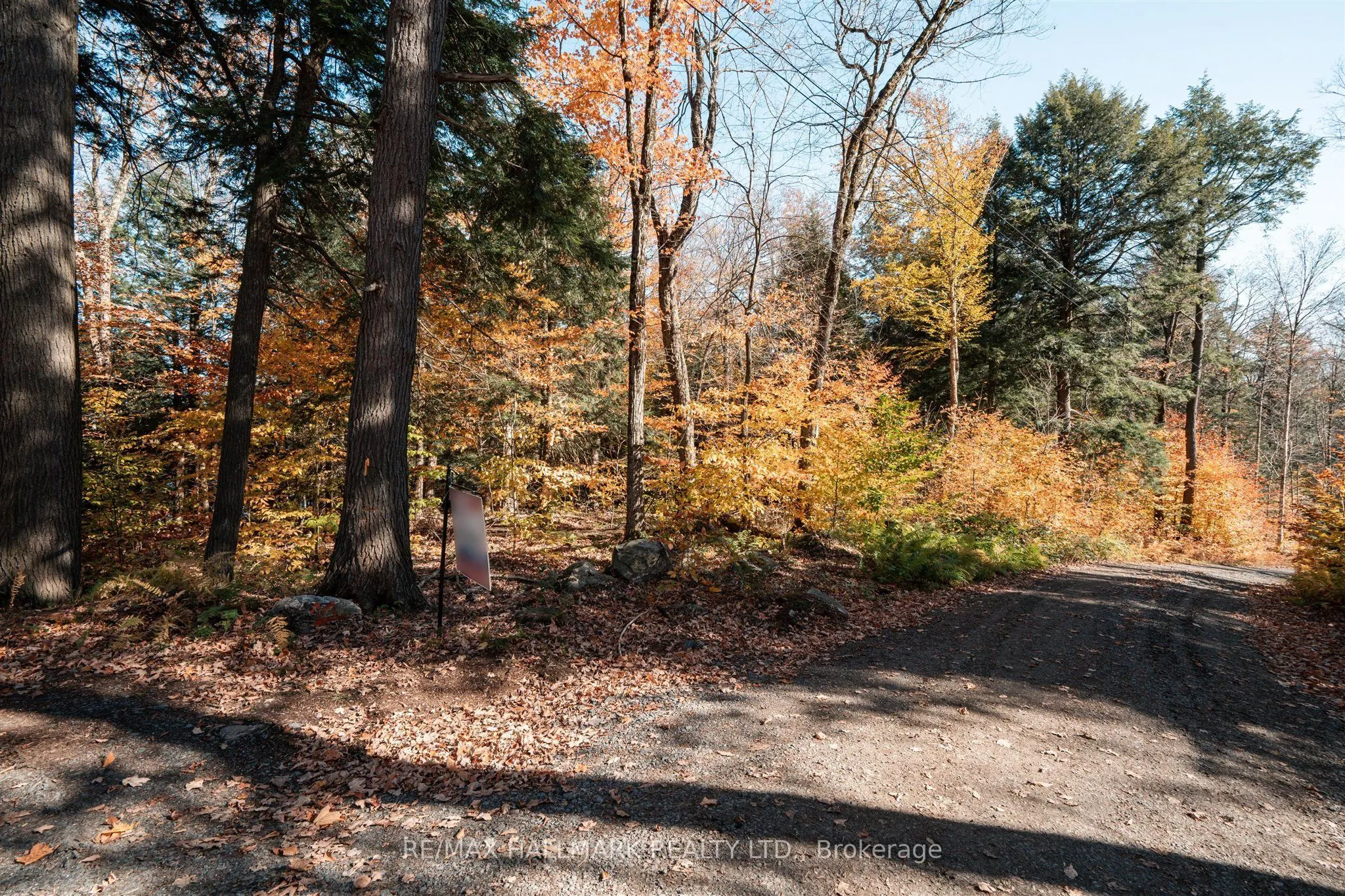 1310 Camel Lake Road #Unit 11 Lot 5