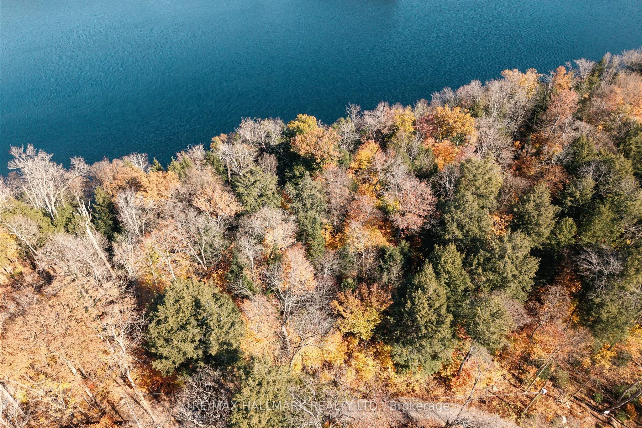 1310 Camel Lake Road #Unit 11 Lot 5