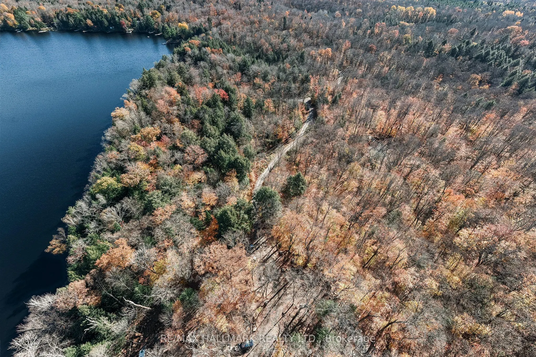 1310 Camel Lake Road #Unit 11 Lot 5