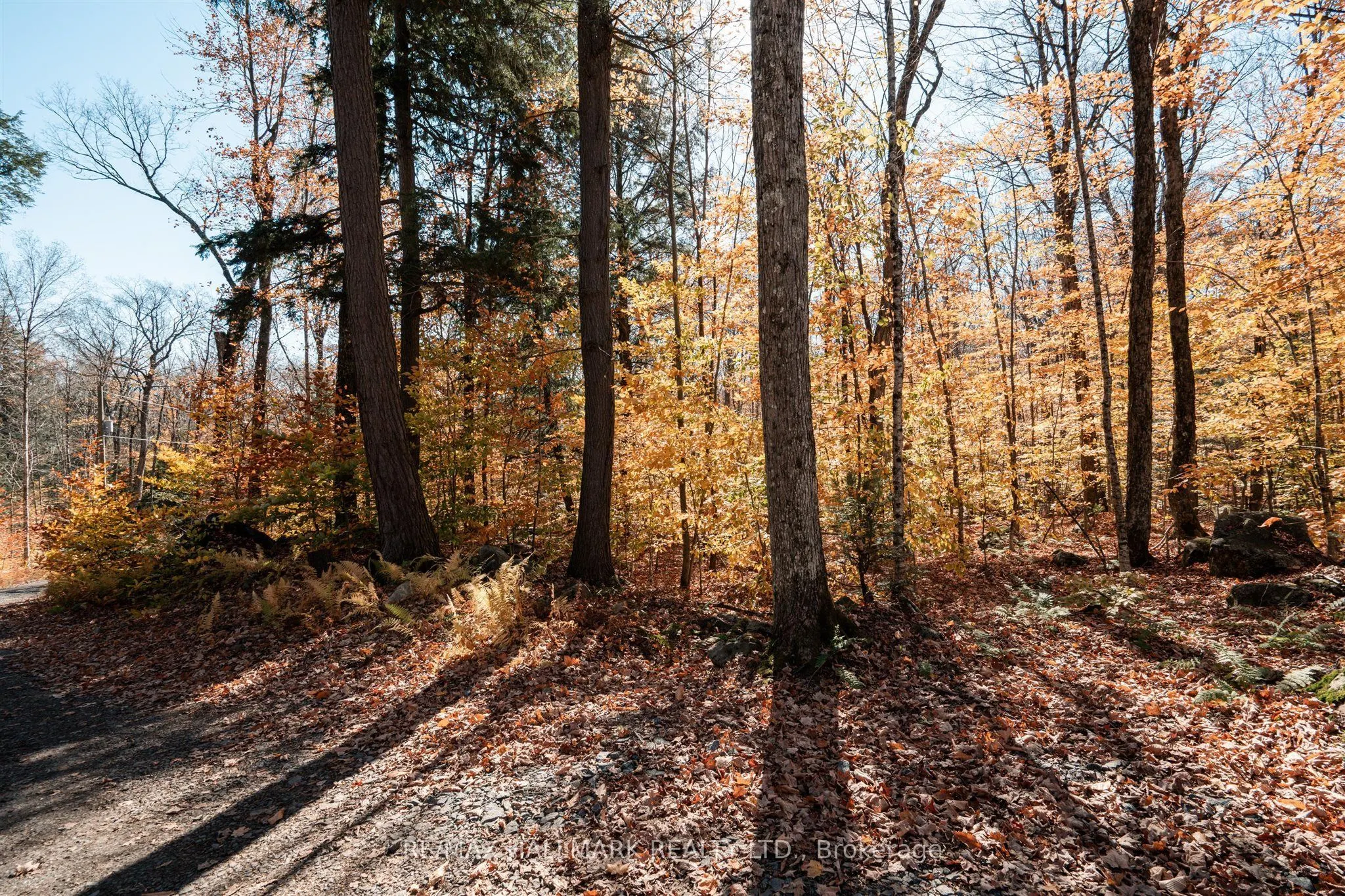 1310 Camel Lake Road #Unit 11 Lot 5