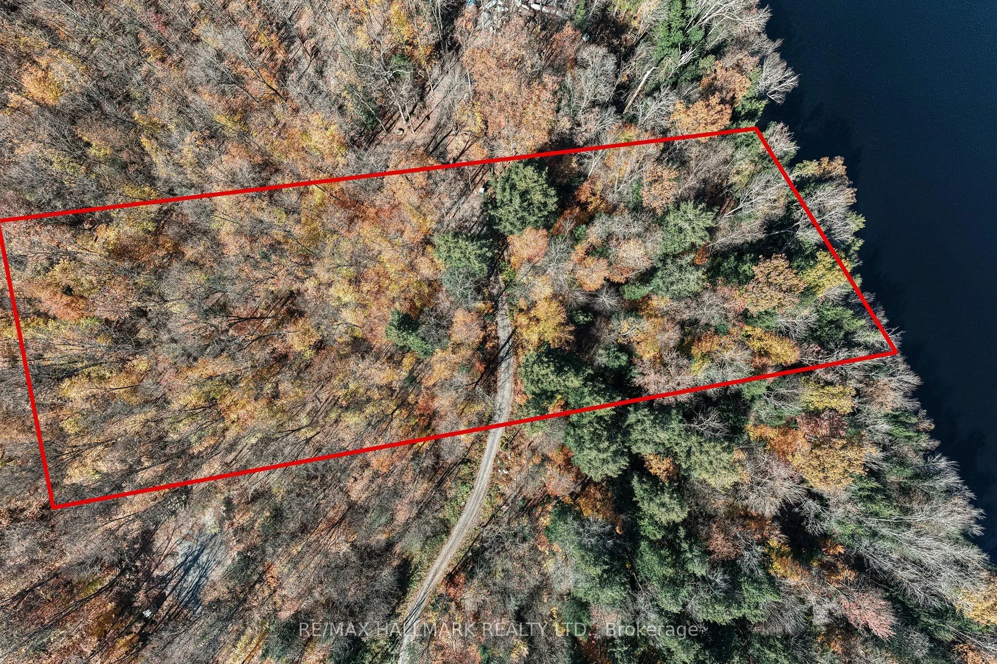 1310 Camel Lake Road #Unit 11 Lot 5