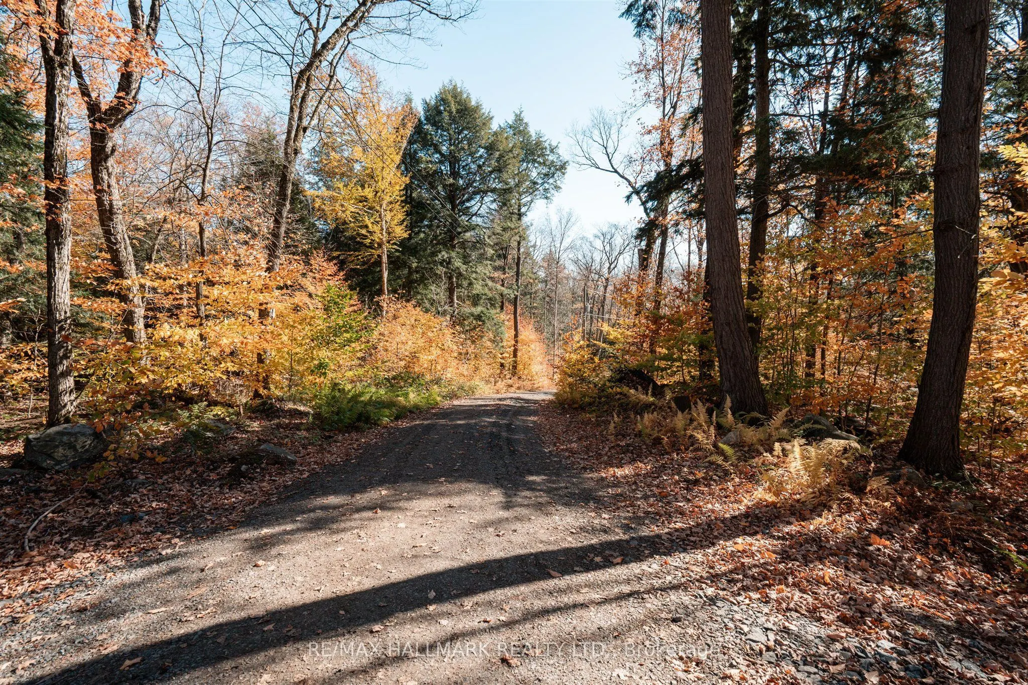 1310 Camel Lake Road #Unit 11 Lot 5