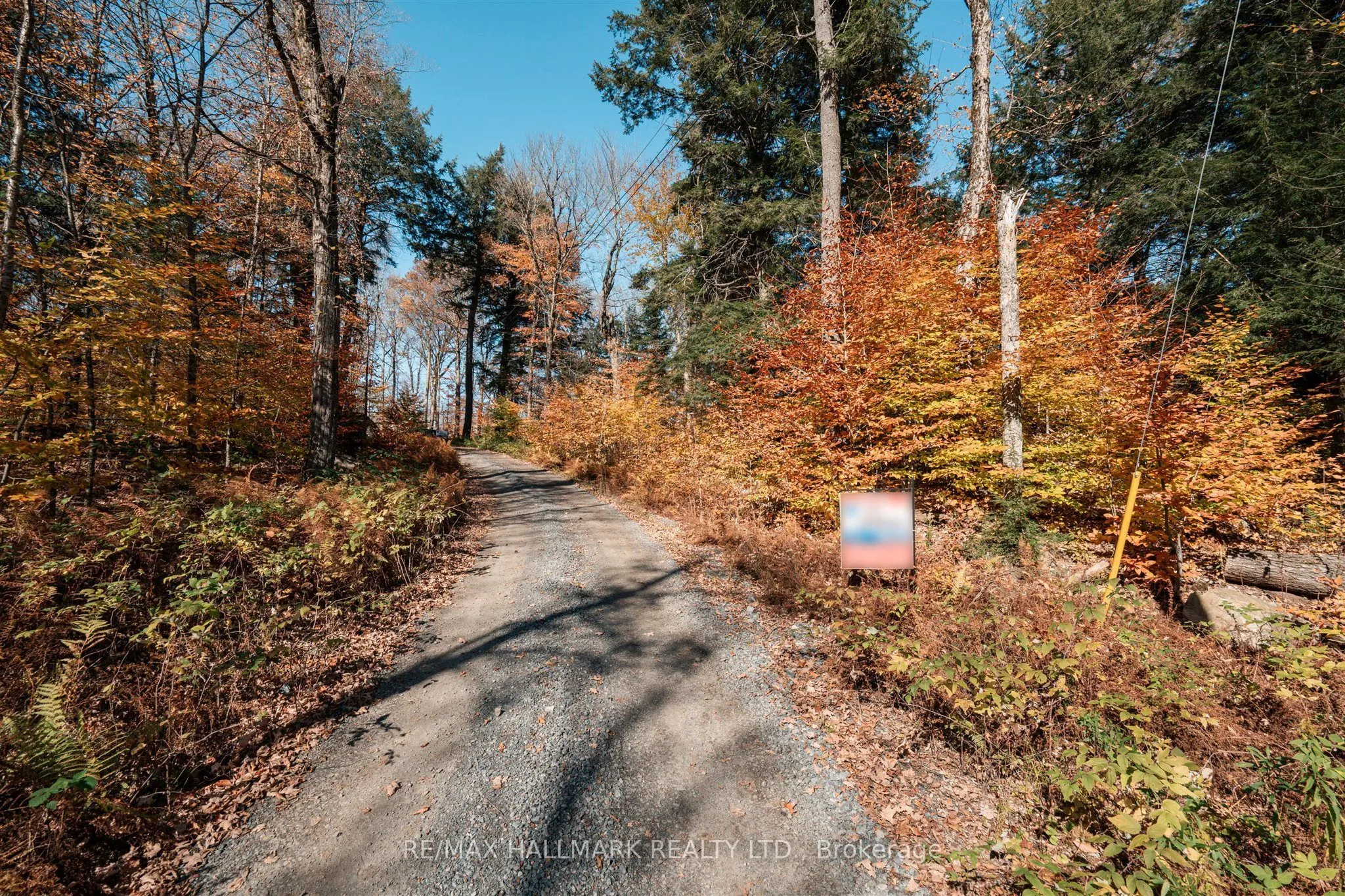 1310 Camel Lake Road #Unit 11 Lot 5