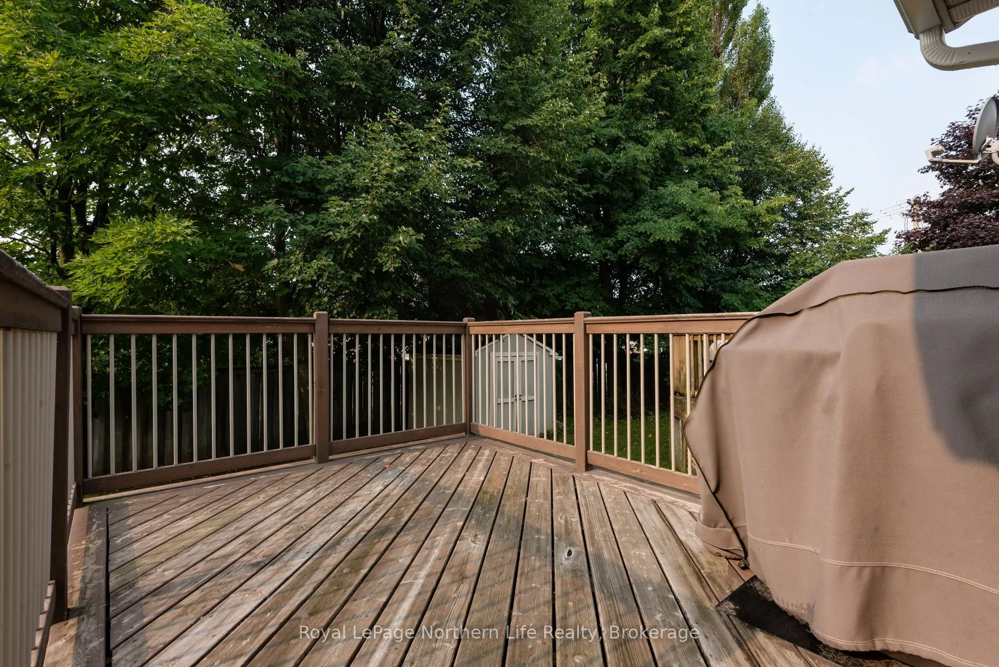 637 Tackaberry Drive