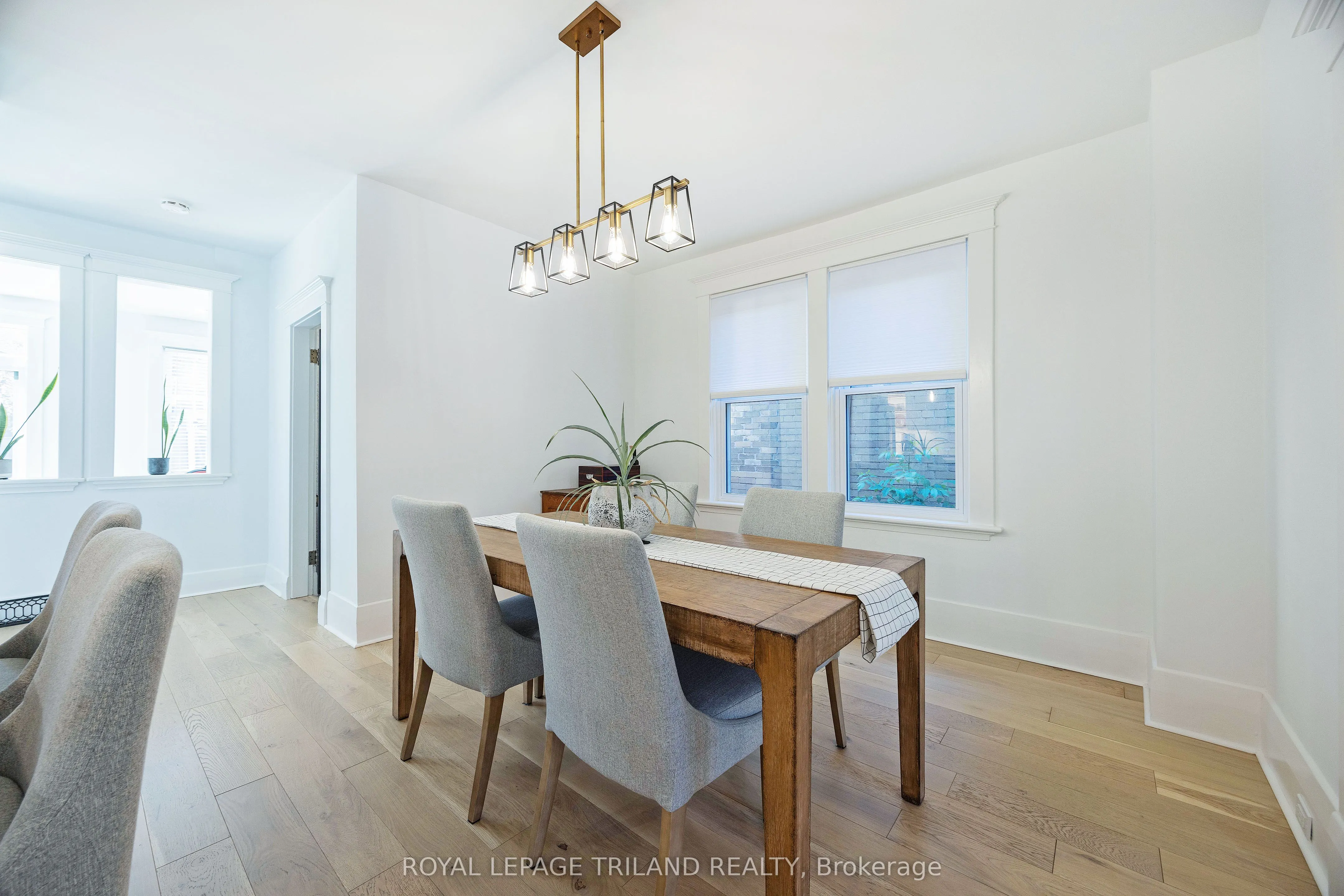 5 Mckenzie Avenue