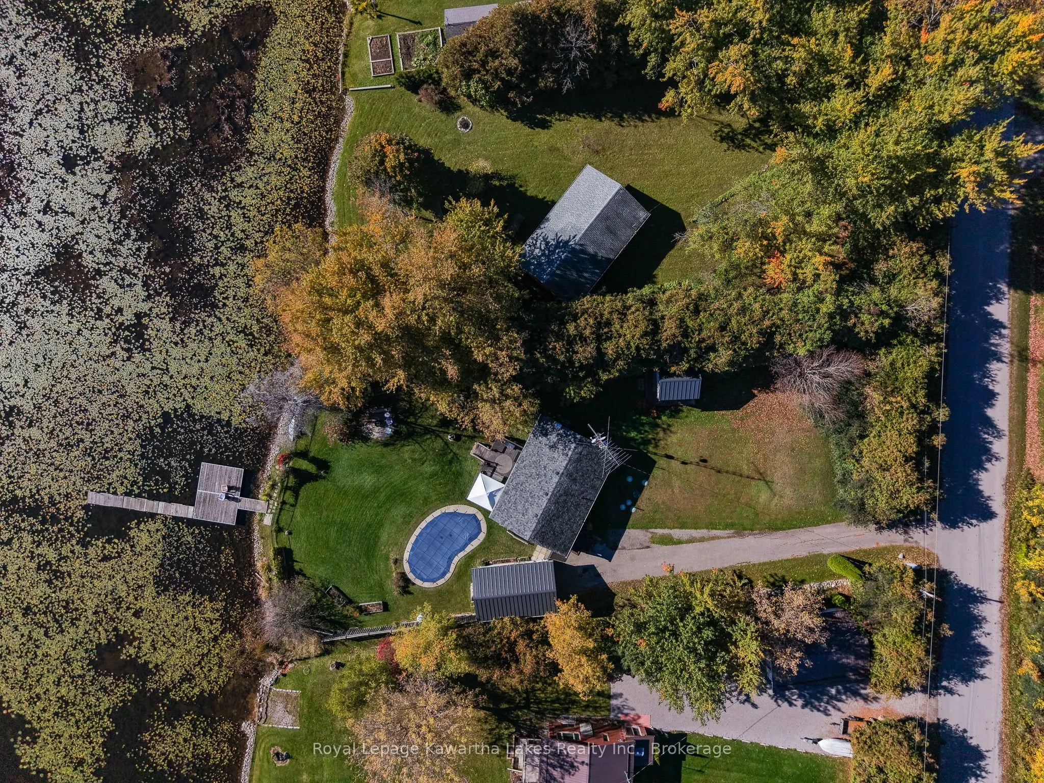 222 O'Reilly Lane