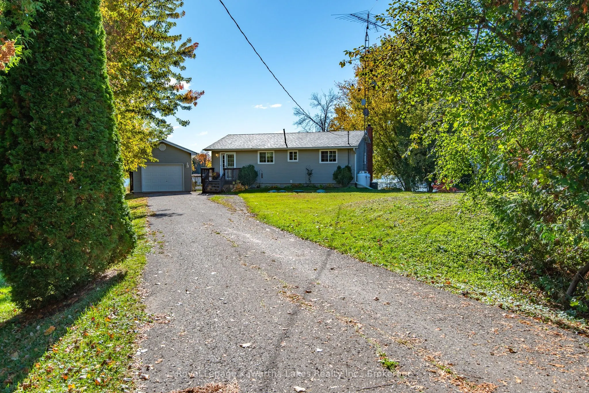 222 O'Reilly Lane