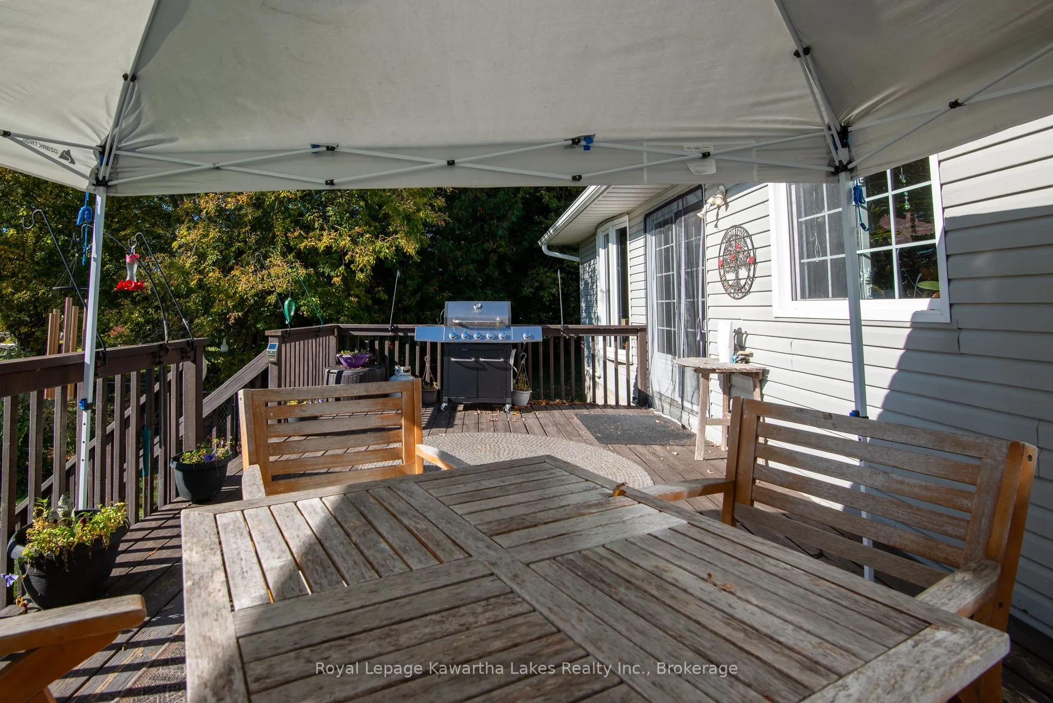 222 O'Reilly Lane