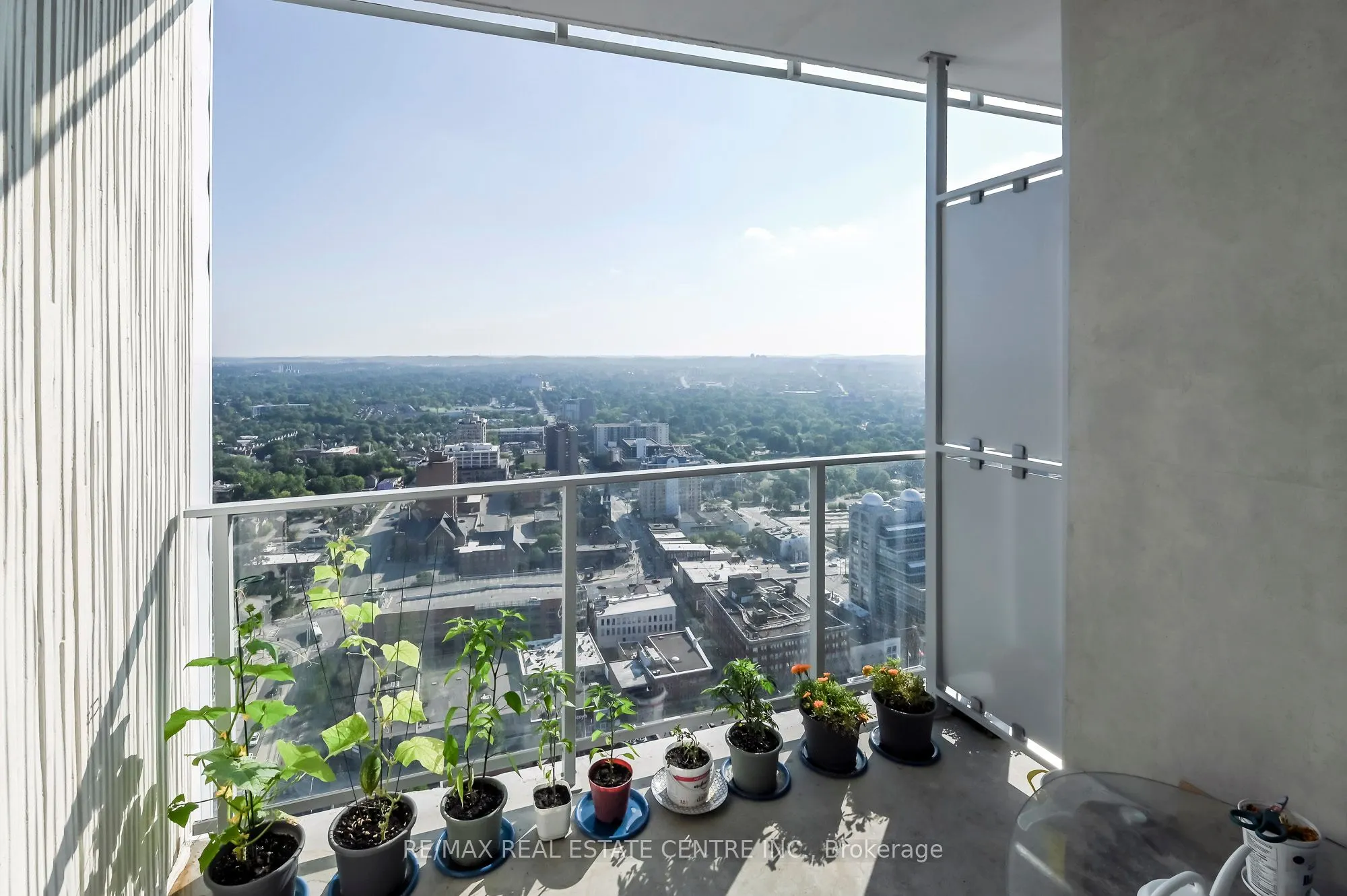 60 Frederick Street #3613