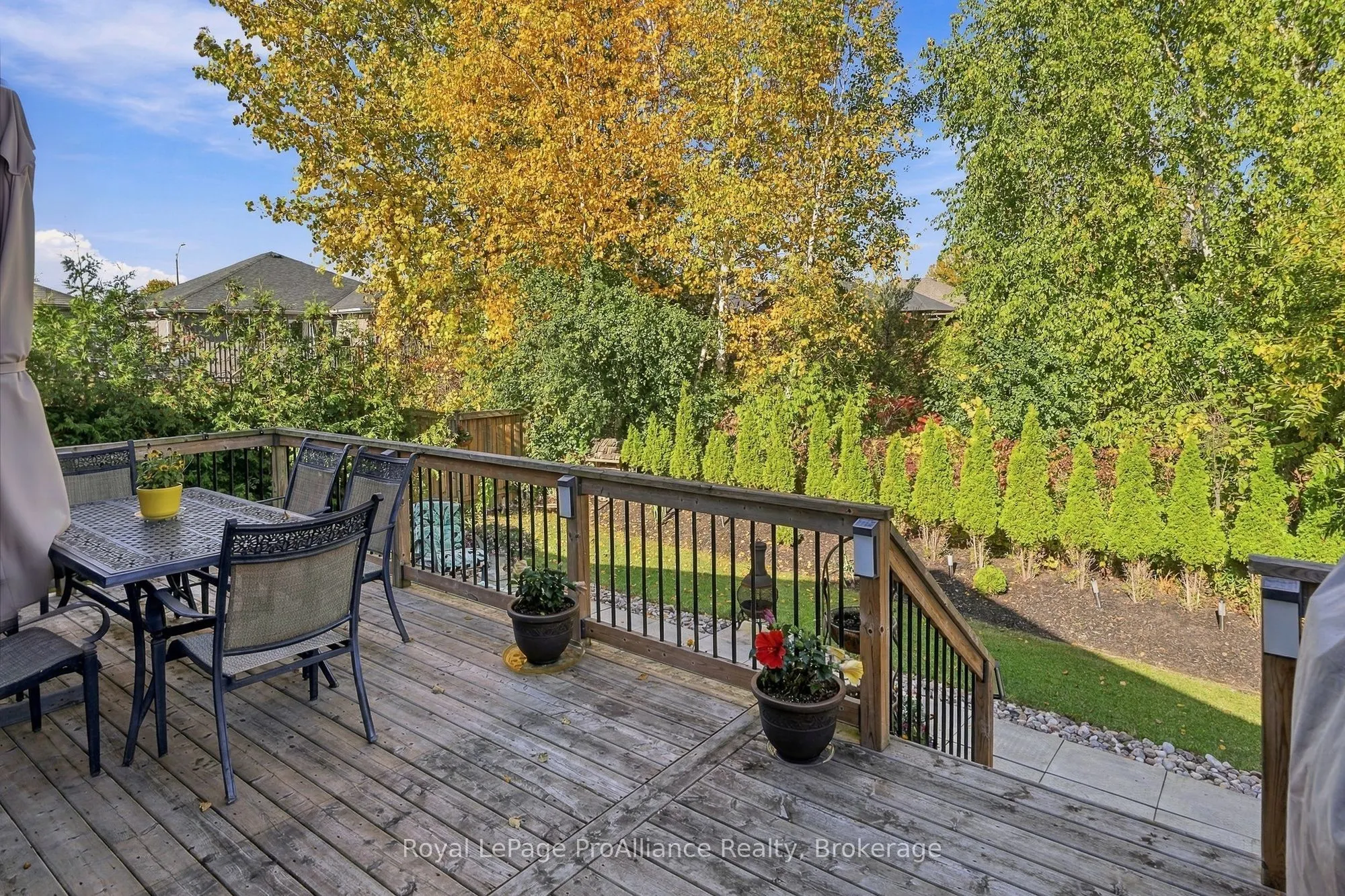 46 Birchmount Street