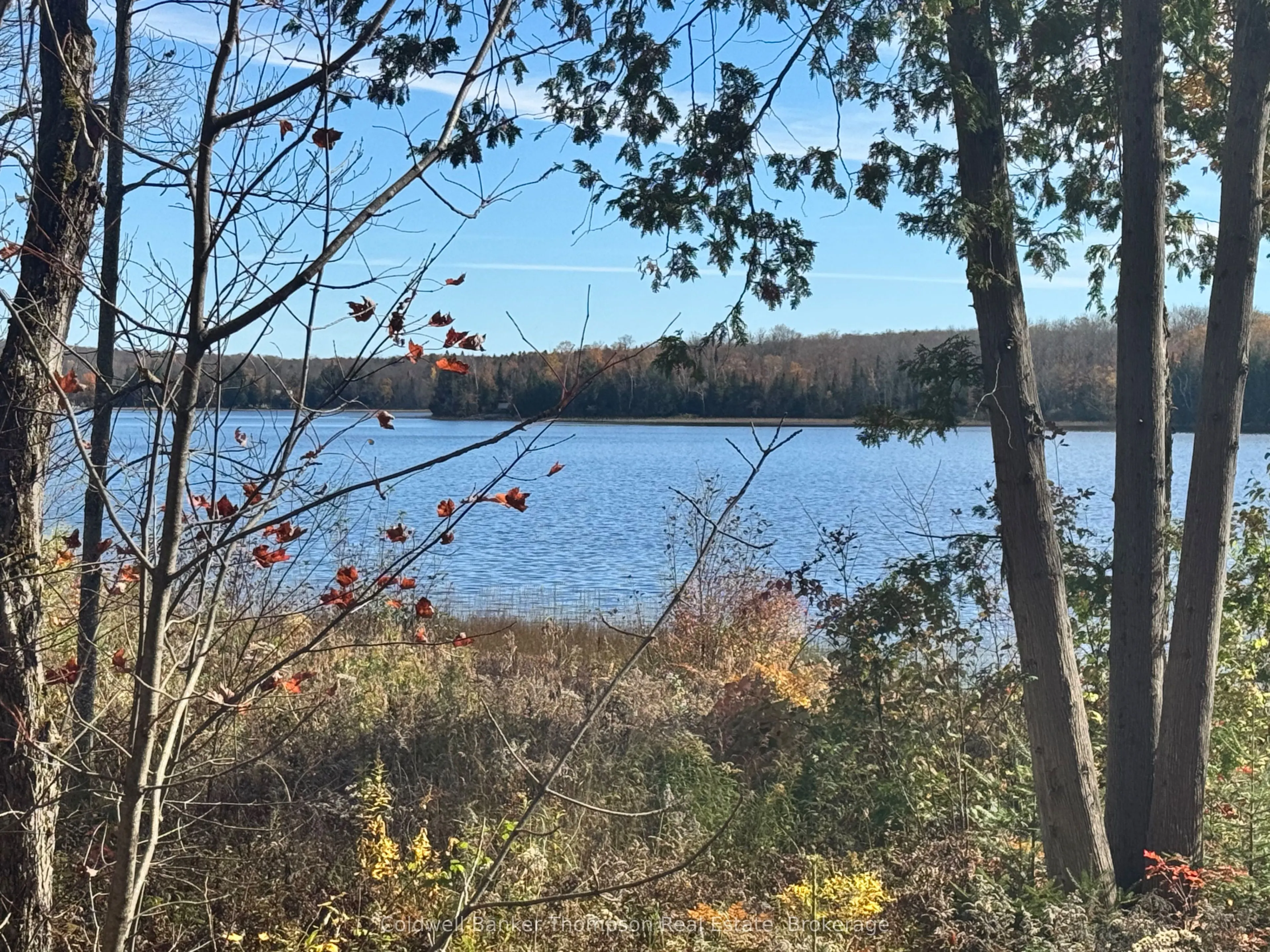 425 Bartlett Lake Road