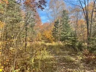 425 Bartlett Lake Road