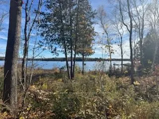 425 Bartlett Lake Road
