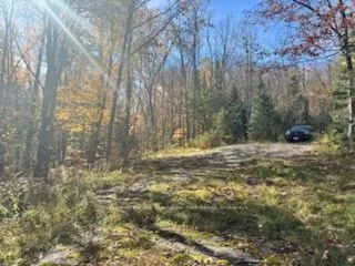 425 Bartlett Lake Road