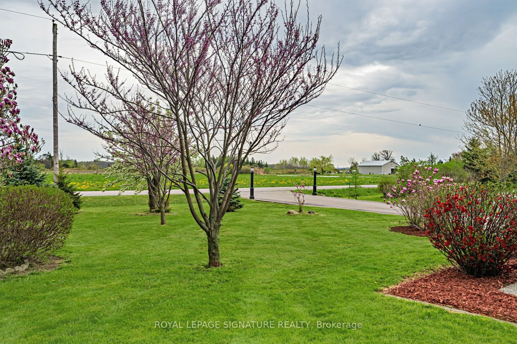 781 Concession Road 2