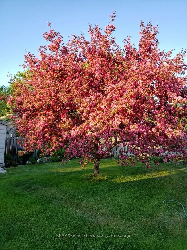 3 Cedar Walk
