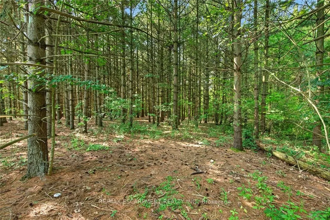 147 Concession 1 Road South