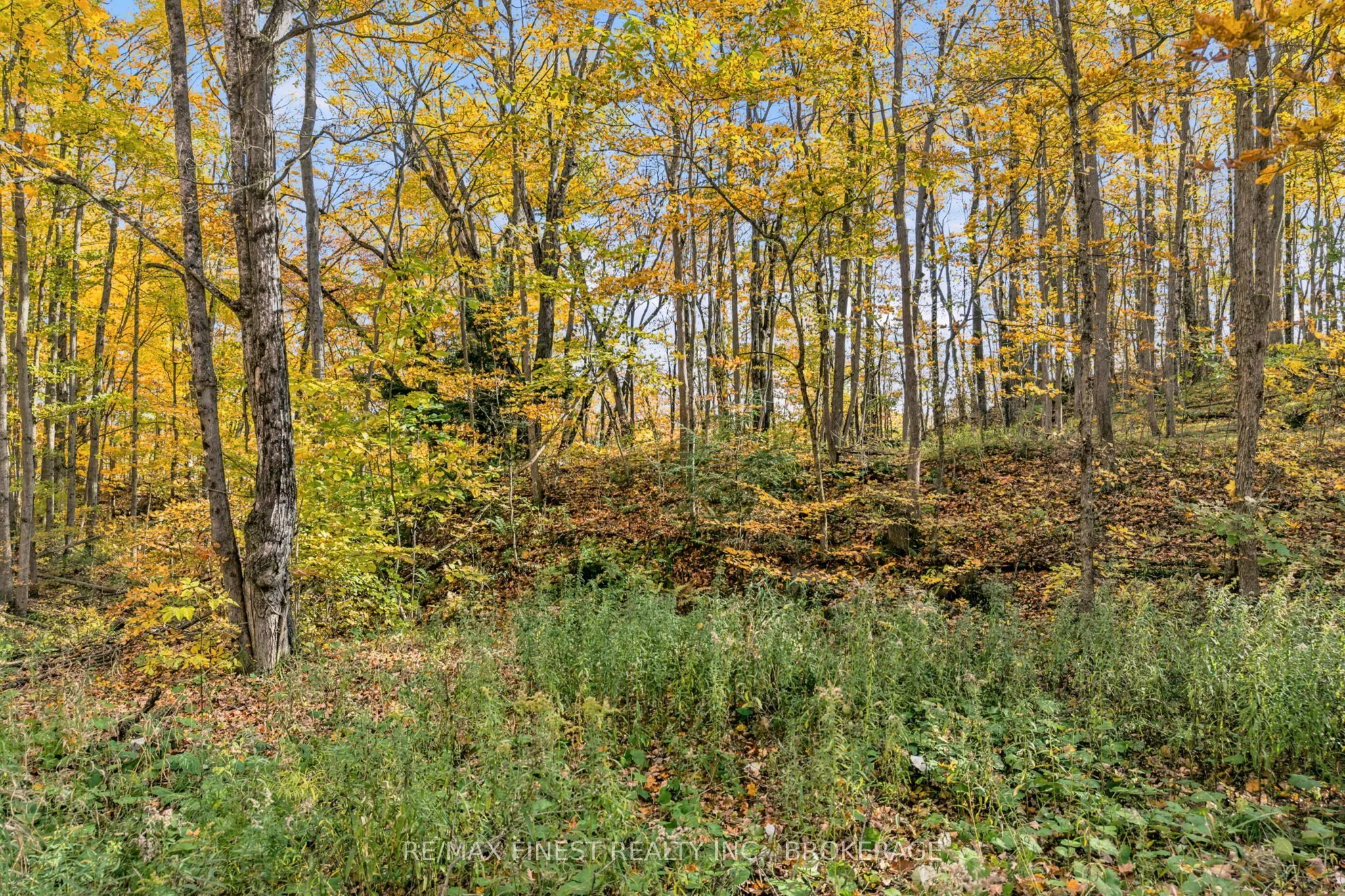 Lot 0 Sweetfern Lane