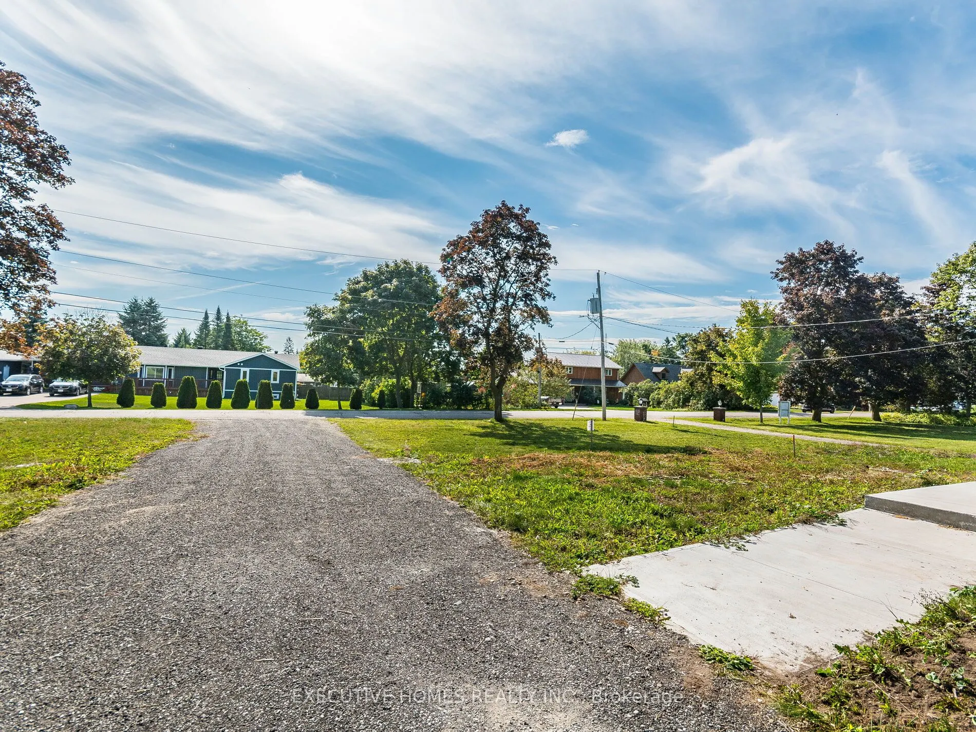 12 Orangeville Street